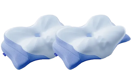 Derila Ergo Most Popular package with 2 pillows